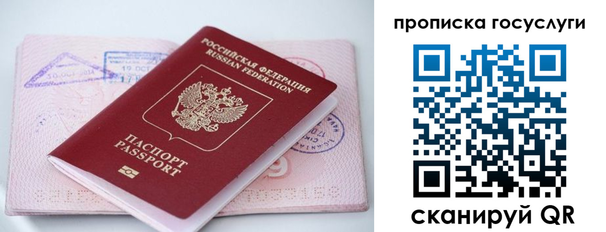 прописка законно в Дигоре